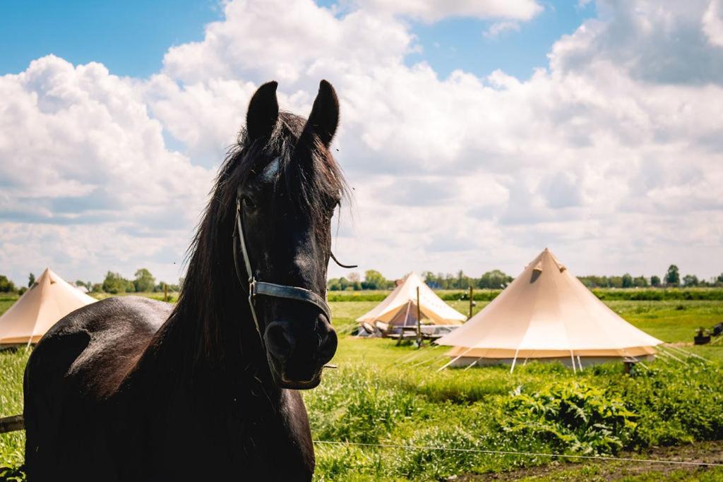 Smuk Lytse Bell Tent Echtenerbrug Exteriér fotografie